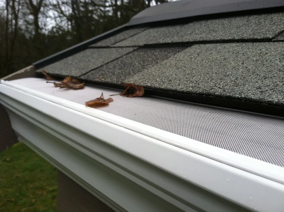 GoPro MicroMesh stainless micro-mesh on a white gutter blocking dried leaves along a shingle roof edge