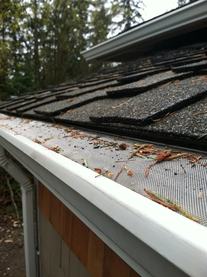 GoPro MicroMesh stainless steel micro-mesh blocking pine needles and debris on a white gutter with downspout