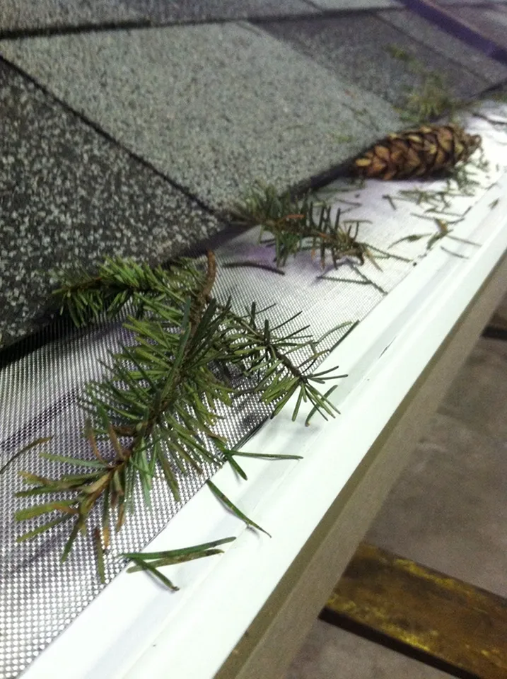 Close-up of GoPro MicroMesh stainless steel gutter guard blocking pine needles and a pine cone on a white gutter