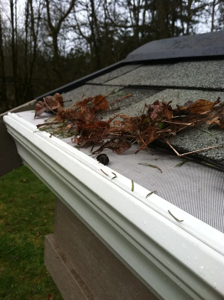 GoPro MicroMesh stainless micro-mesh holding wet leaves and pine needles on a white gutter after rain