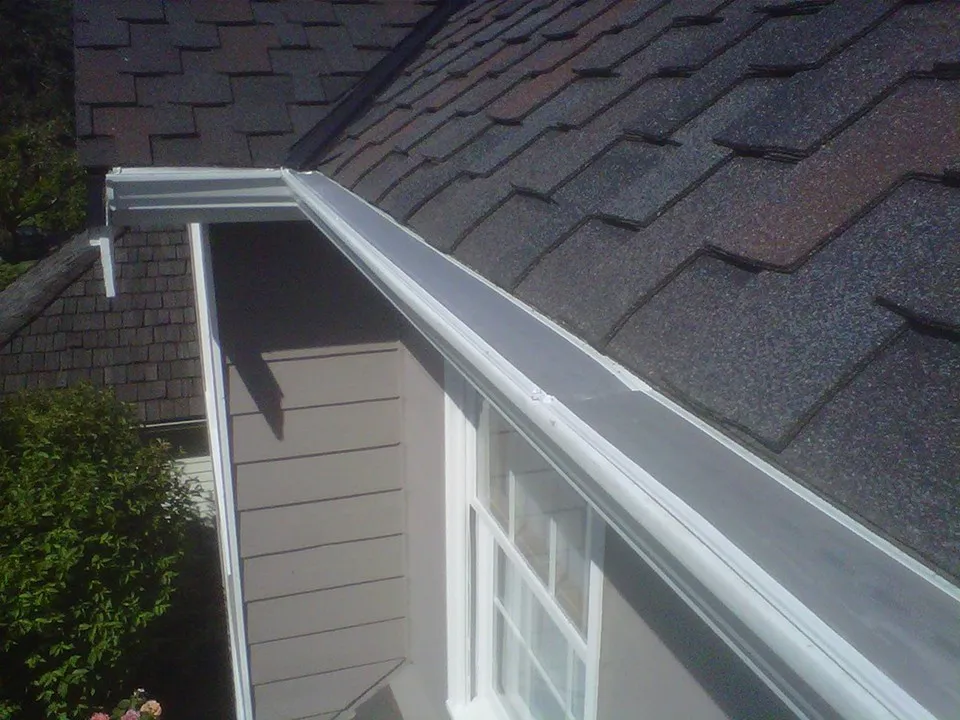 GoPro MicroMesh stainless micro-mesh installed on white gutters along a dark shingle roof edge