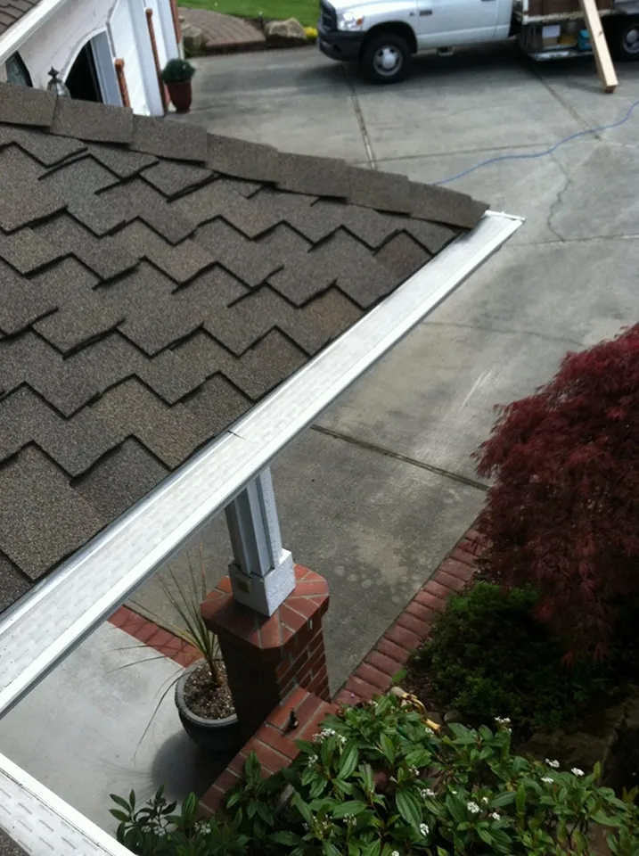 GoPro MicroMesh stainless micro-mesh roof-edge install on dark architectural shingles and a white gutter